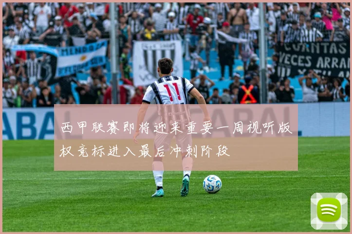 西甲联赛即将迎来重要一周视听版权竞标进入最后冲刺阶段