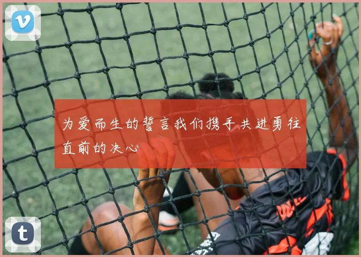 为爱而生的誓言我们携手共进勇往直前的决心